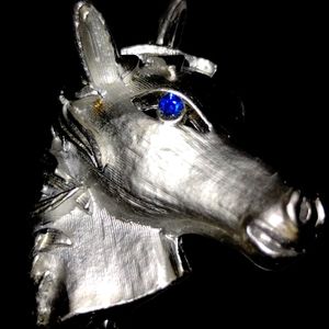Beautiful vintage horse head with bright blue eyes